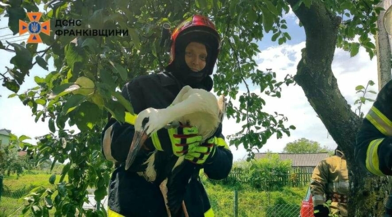 Операція "Лелека": на Прикарпатті пожежники проводили незвичну рятувальну операцію (ФОТО)