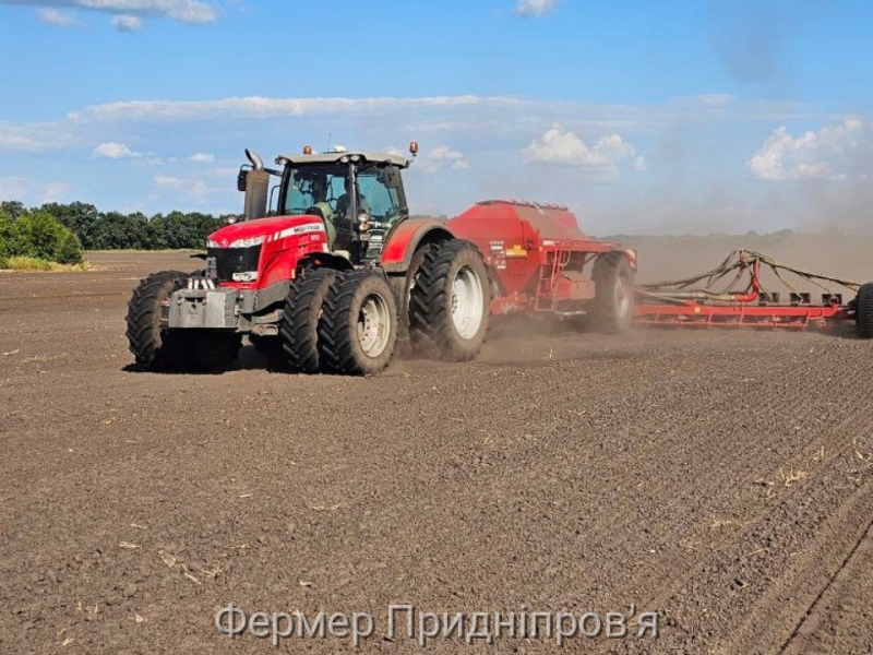 Agro Region збільшить на наступний рік площі під озимим ріпаком  на 40%