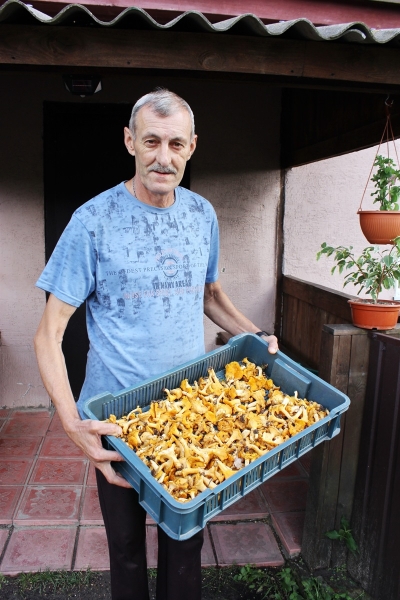 Чорний труд. Почім приймають чорницю й лисички на Корюківщині та Холминщині