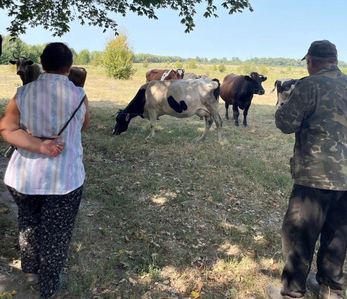 Як тримається й чим живе маленьке 100-літнє село Майське на Менщині