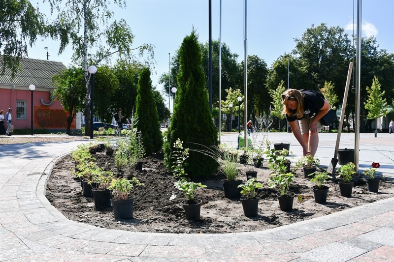 Розпочато проєкт з озеленення Скверу Героїв з меморіалом героям-захисникам