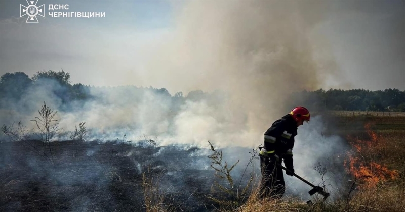 Сімнадцять загорянь сухої трави за тиждень сталися в Корюківському районі. Ще й палії не зупиняються