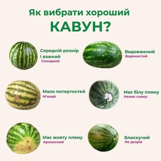 Смугаста ягода вже у продажу