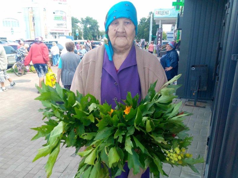 Зелені свята ідуть