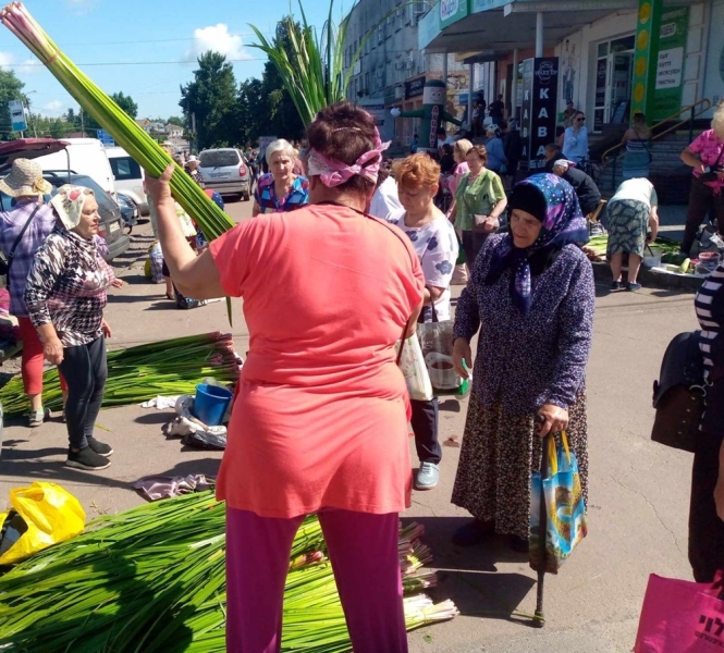 Зелені свята ідуть